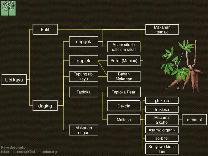 Kb pohon industri-11